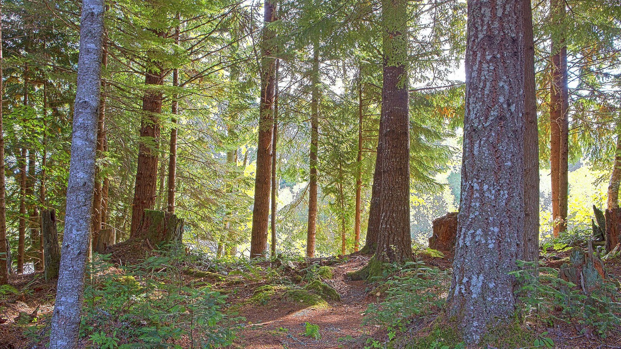 Photo of Others in Enumclaw