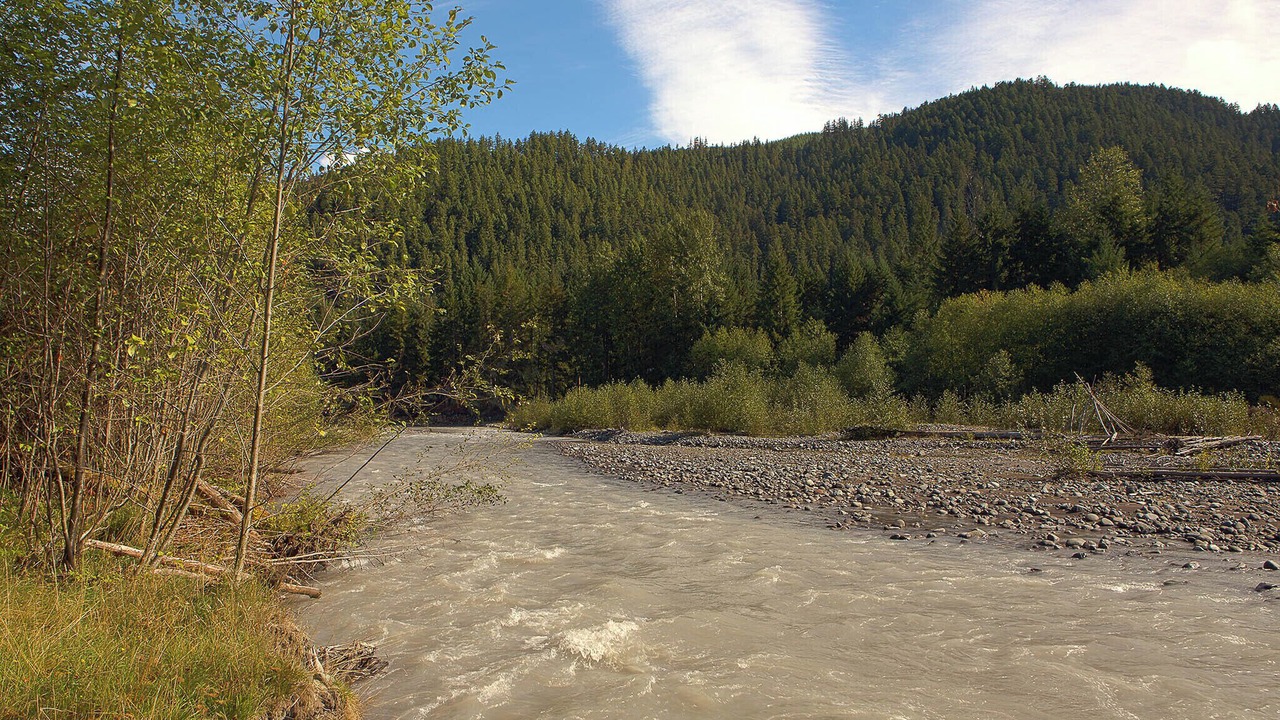 Photo of Others in Enumclaw