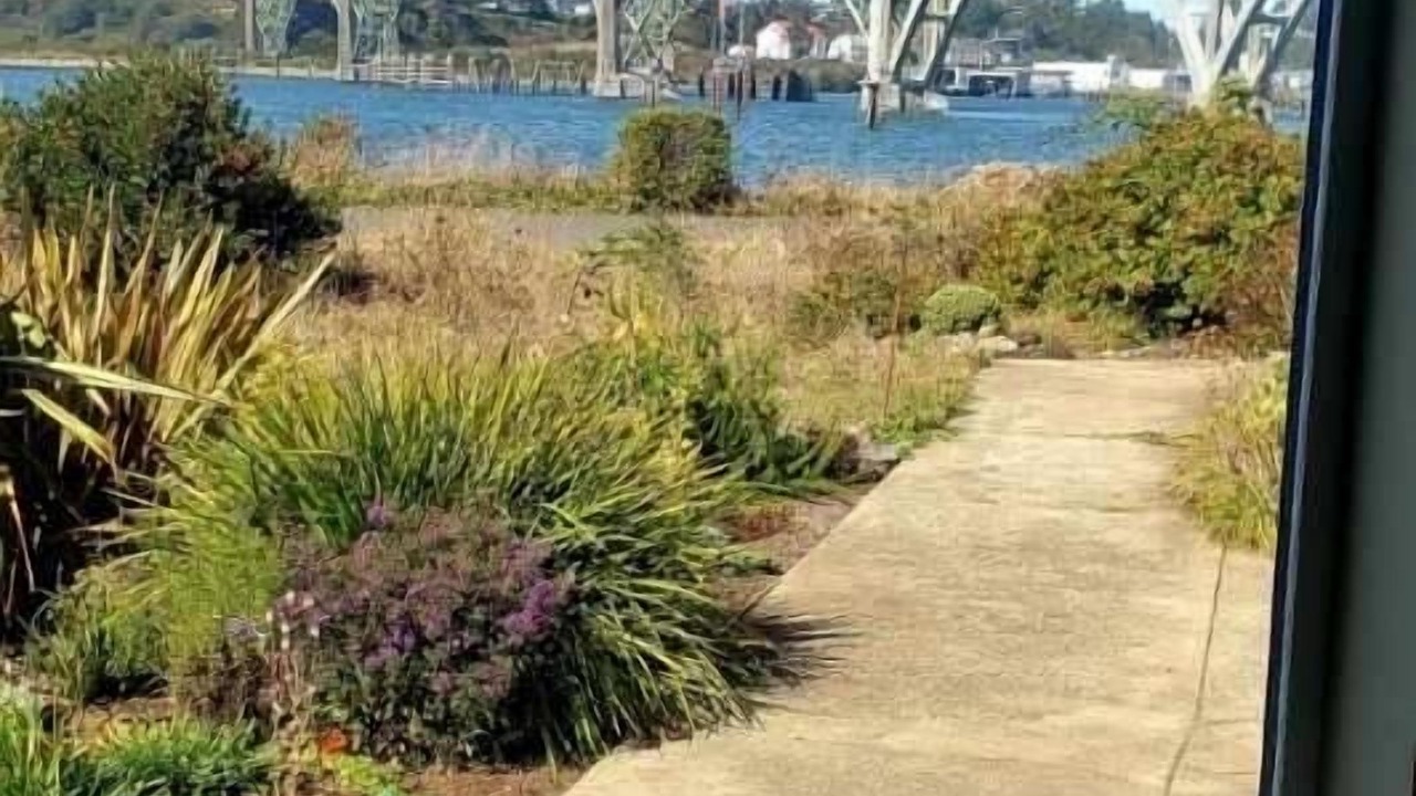 Photo of Outdoor in Newport