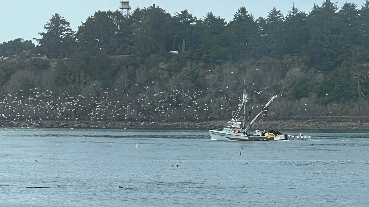 Photo of Others in Newport