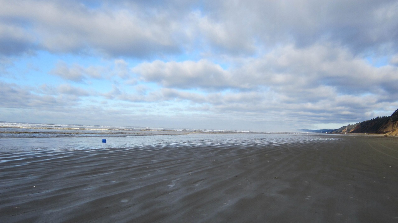 Photo of Others in Pacific Beach