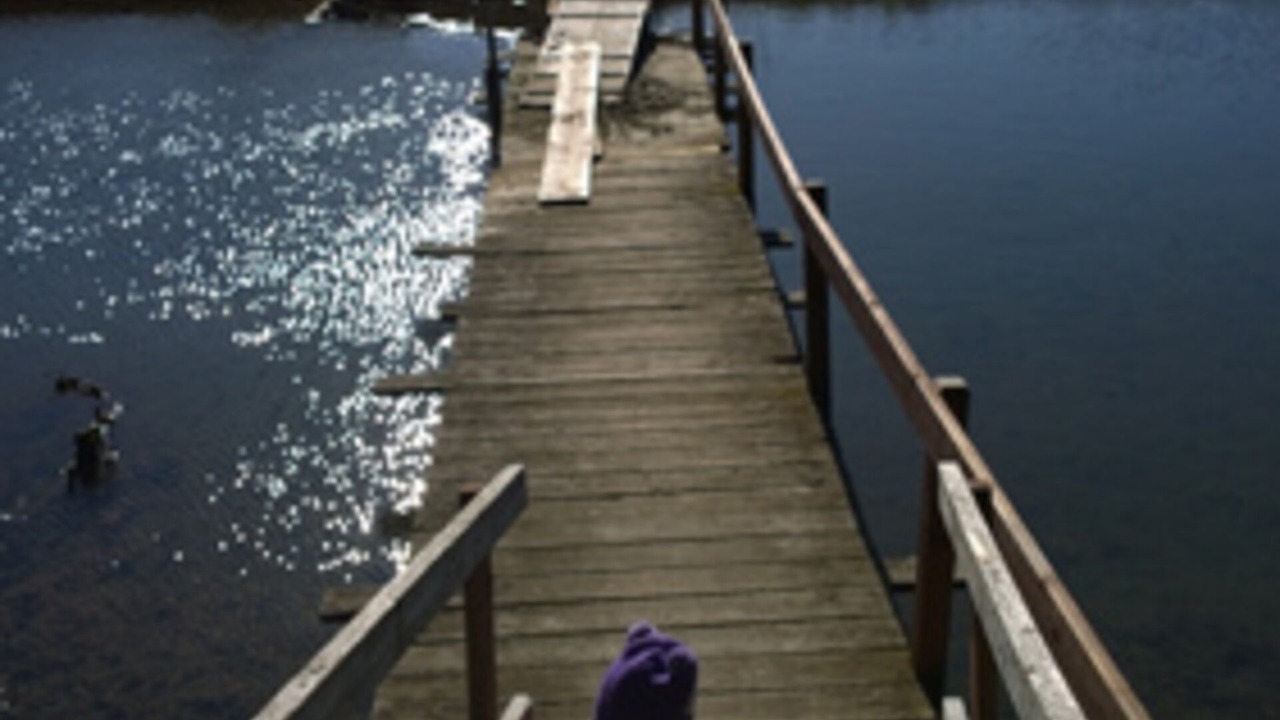 Photo of Others in Anderson Island