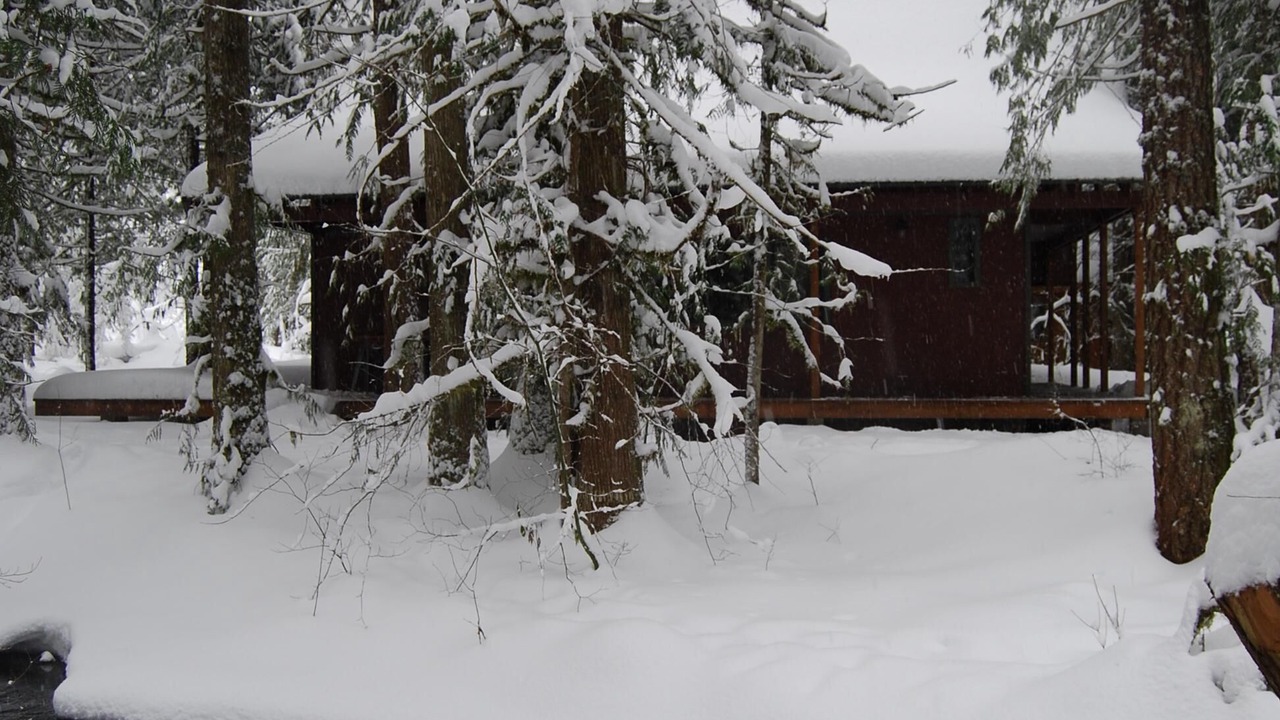 Photo of Outdoor in Rhododendron