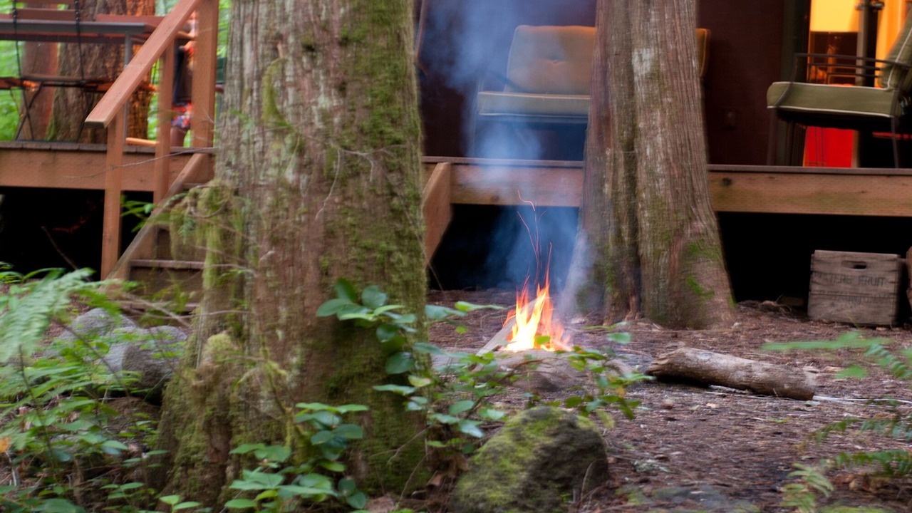 Photo of Outdoor in Rhododendron