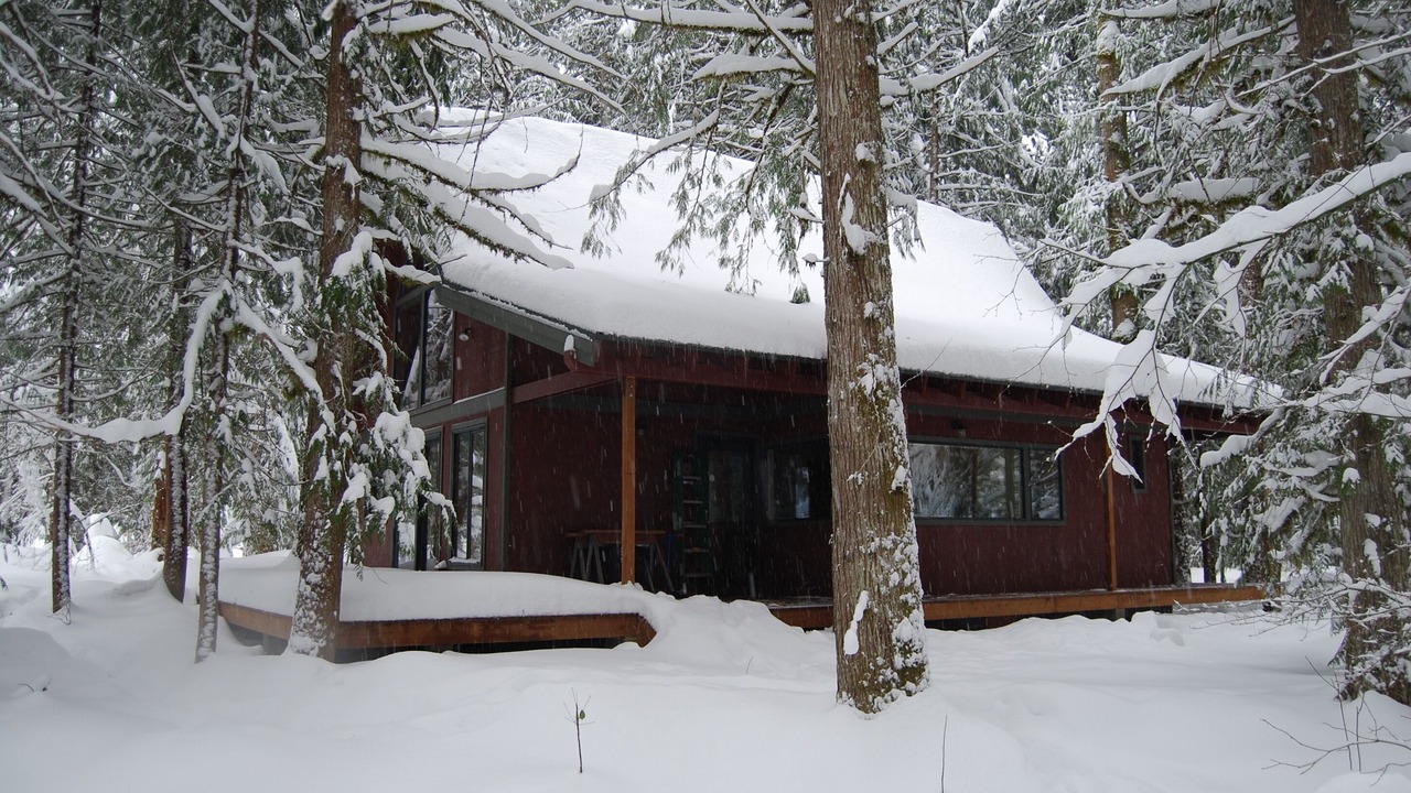 Photo of Outdoor in Rhododendron