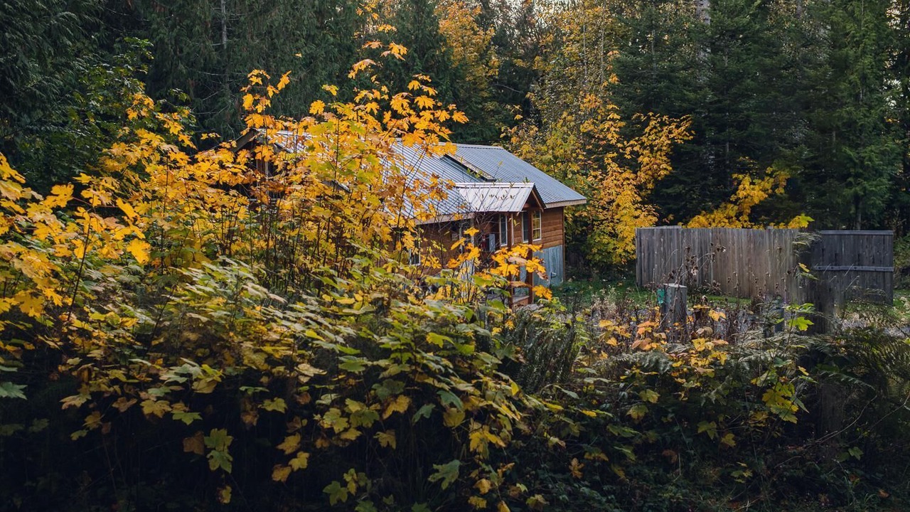 Photo of Outdoor in Port Angeles