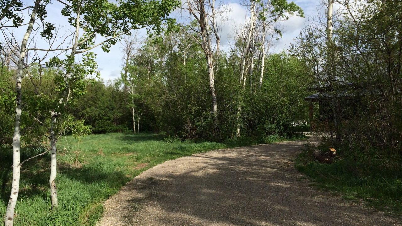 Photo of Outdoor in Victor