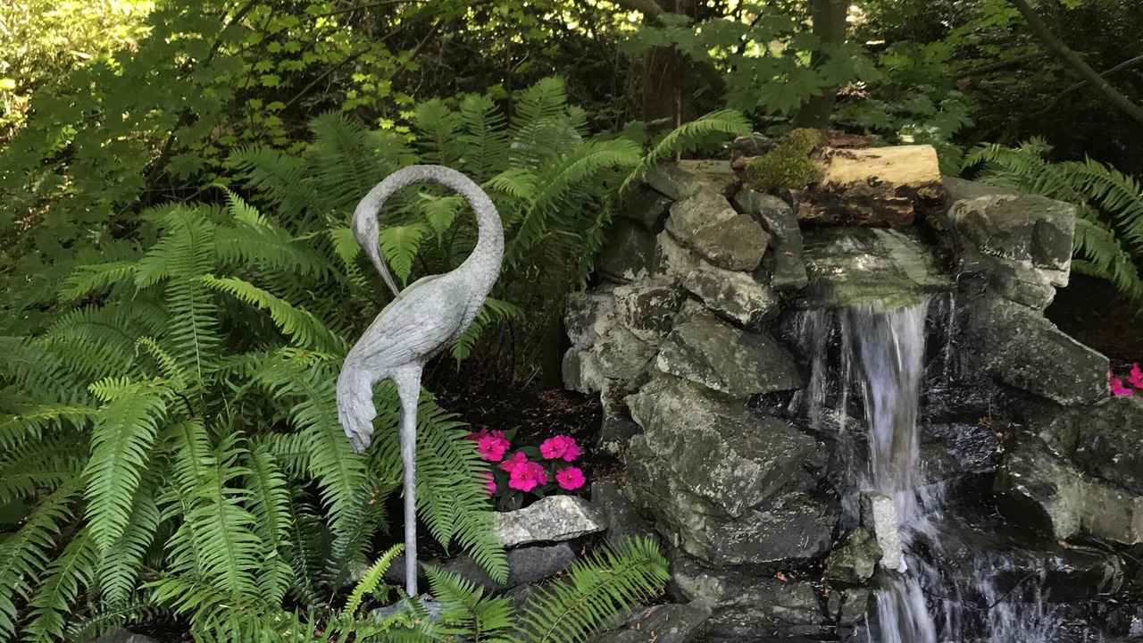 Photo of Outdoor in Artondale