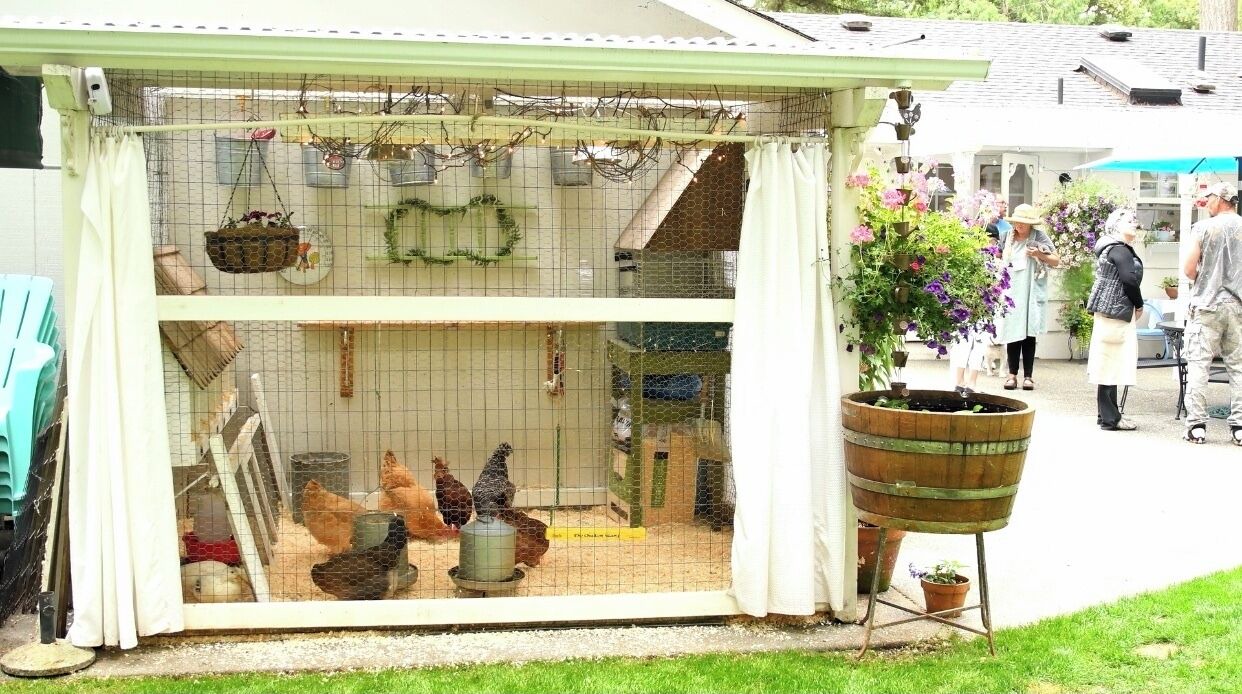 Photo of Outdoor in Artondale
