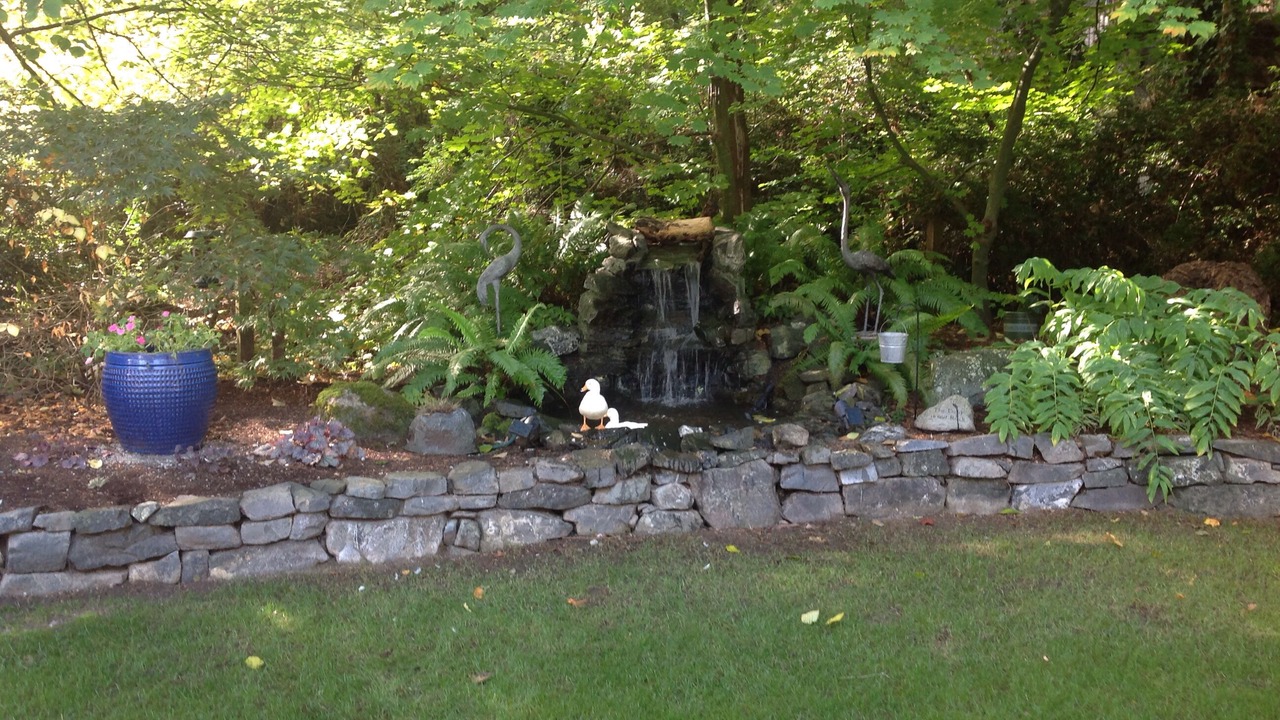 Photo of Outdoor in Artondale