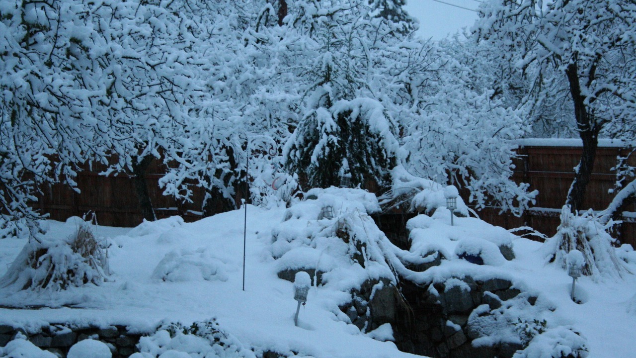 Photo of Others in Medford
