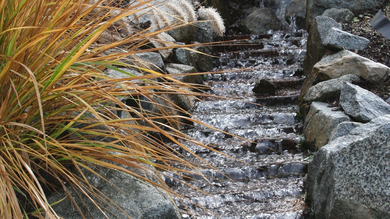 Photo of Outdoor in Medford