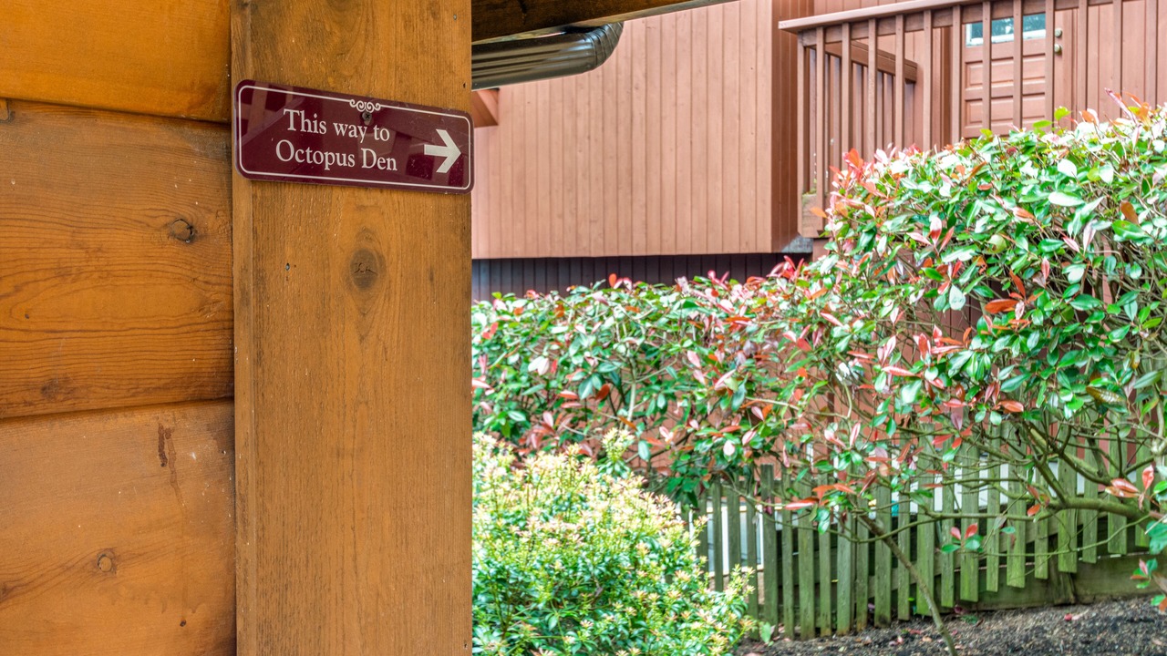 Photo of Outdoor in Coupeville