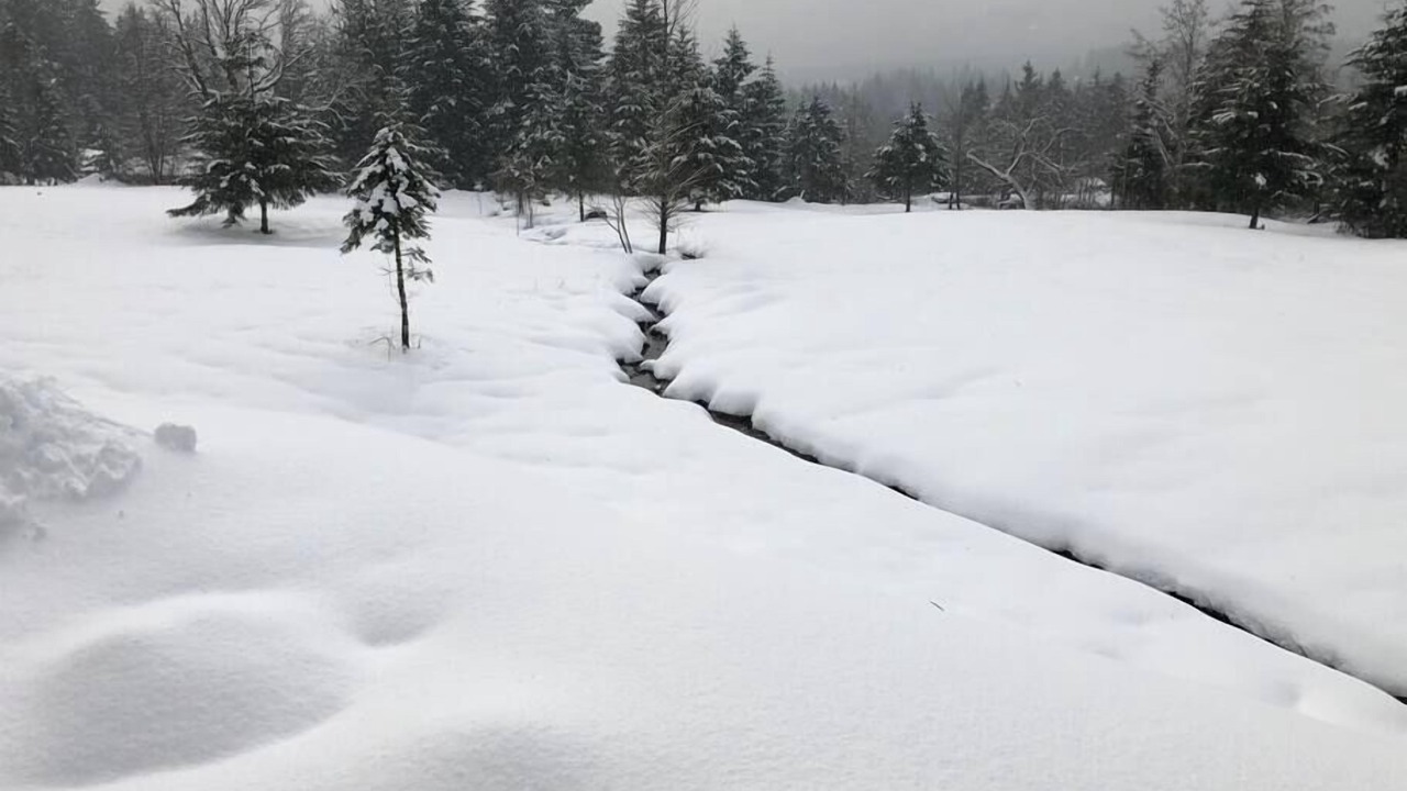 Photo of Outdoor in Stevenson