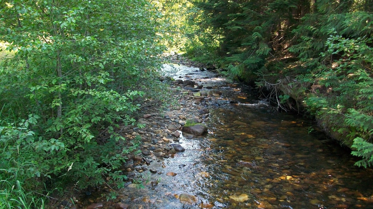 Photo of Outdoor in Sandpoint