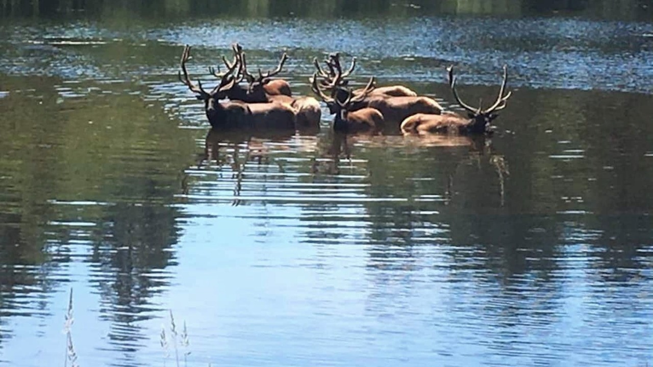 Photo of Others in Eatonville