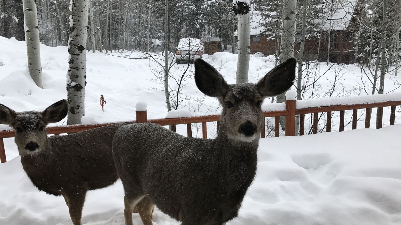 Photo of Others in Star Valley Ranch