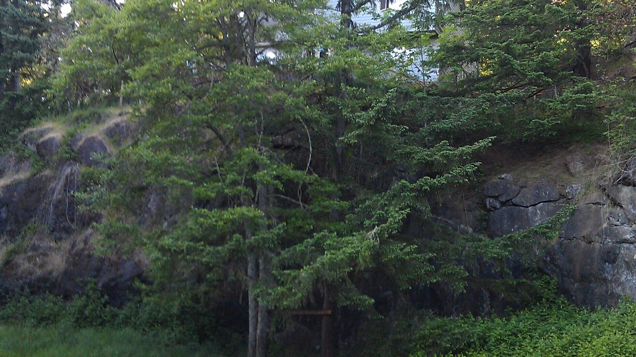 Photo of Outdoor in Corvallis
