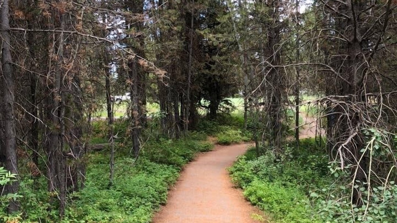 Photo of Others in Island Park