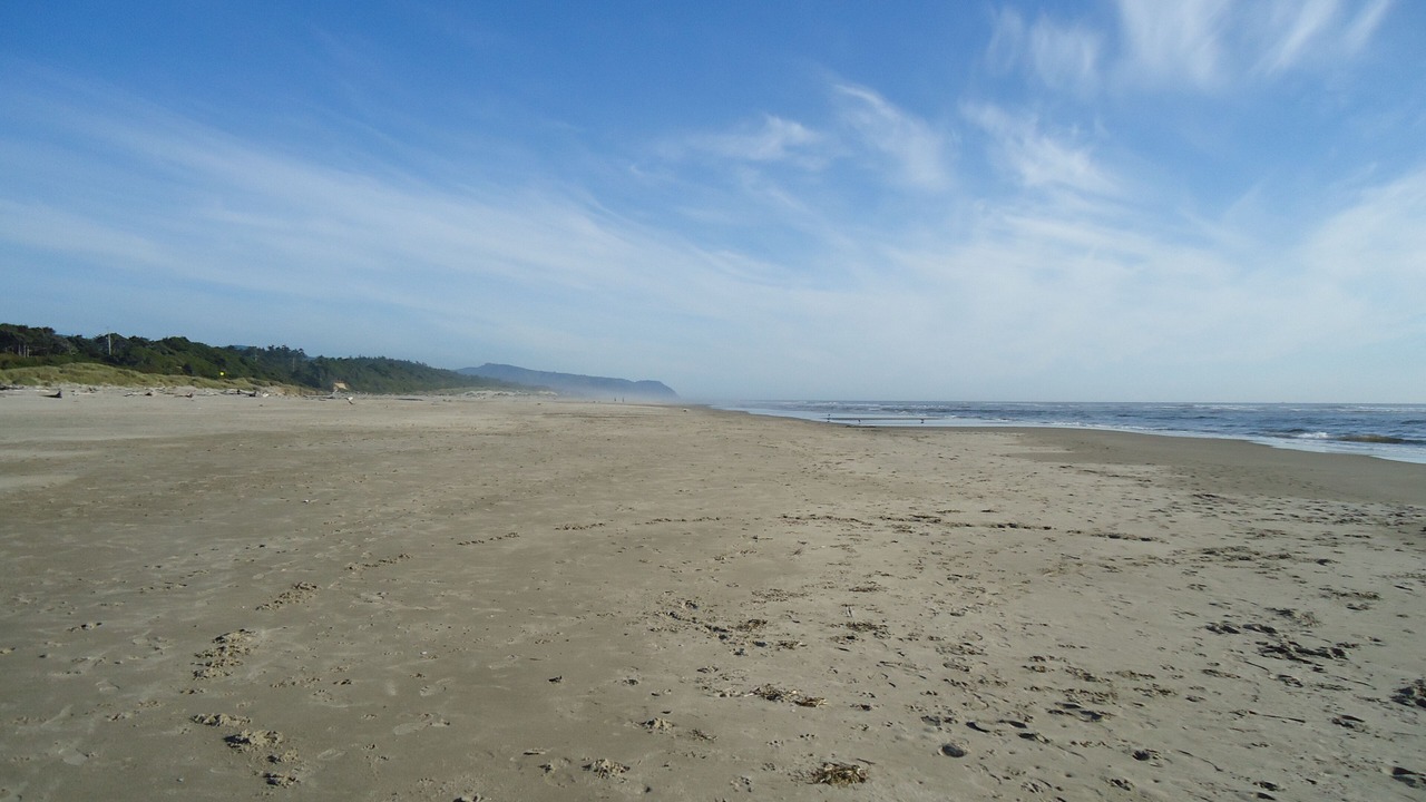 Photo of Others in Waldport