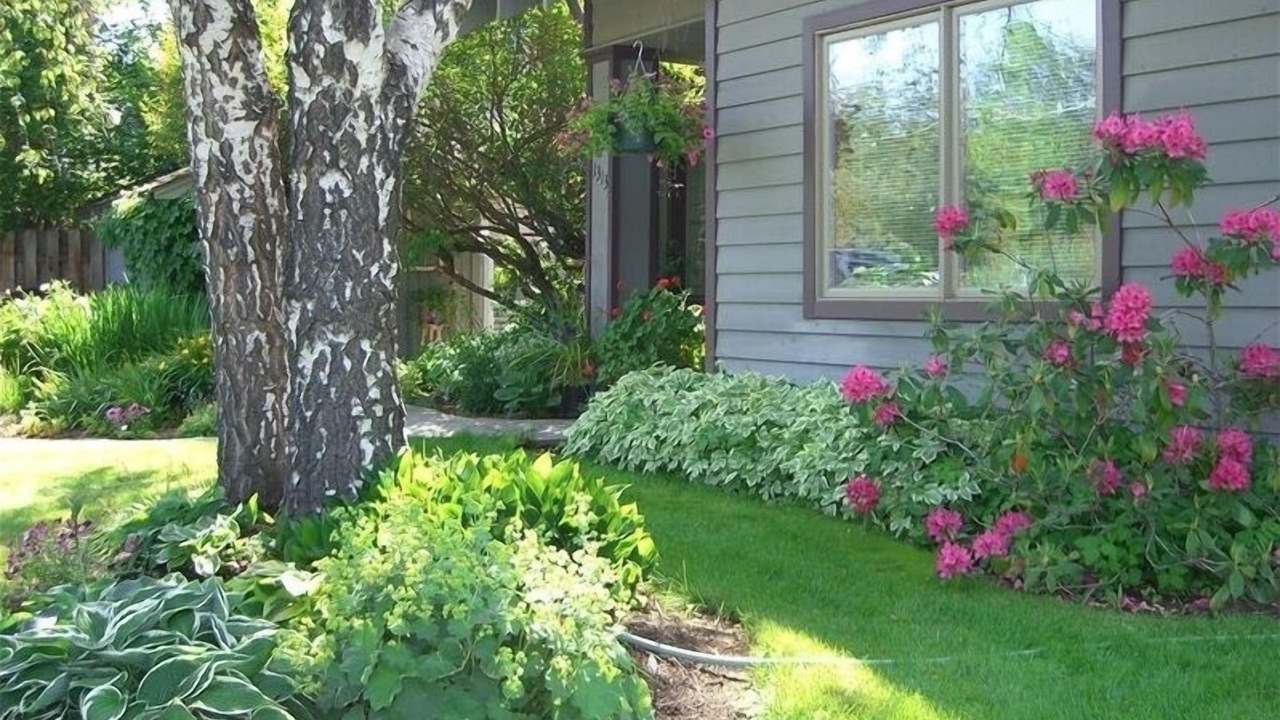 Photo of Outdoor in River West