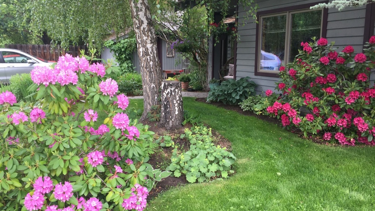 Photo of Outdoor in River West