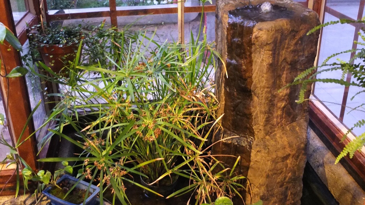 Photo of Outdoor in Hamilton