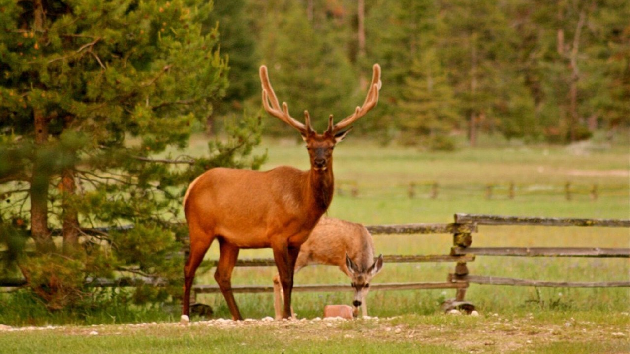 Photo of Others in Atlanta
