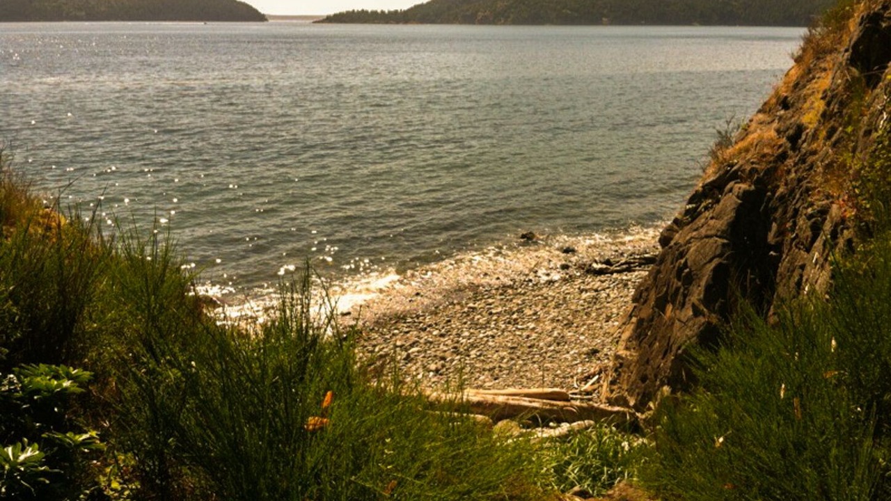 Photo of Others in Anacortes