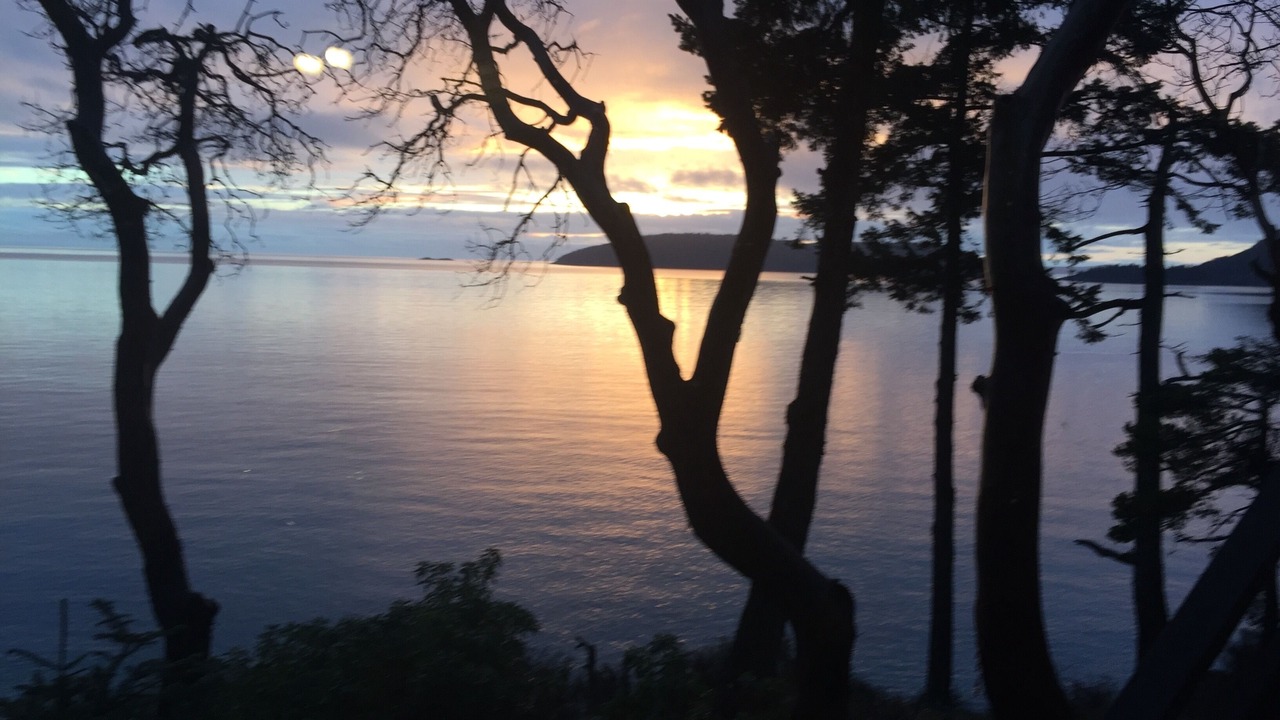 Photo of Others in Anacortes