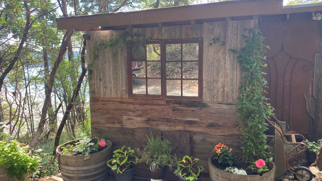 Photo of Outdoor in Anacortes