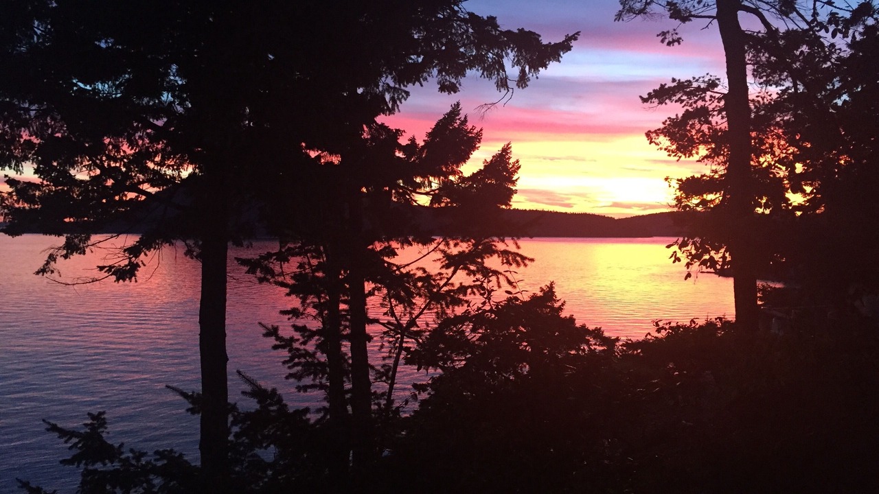 Photo of Others in Anacortes