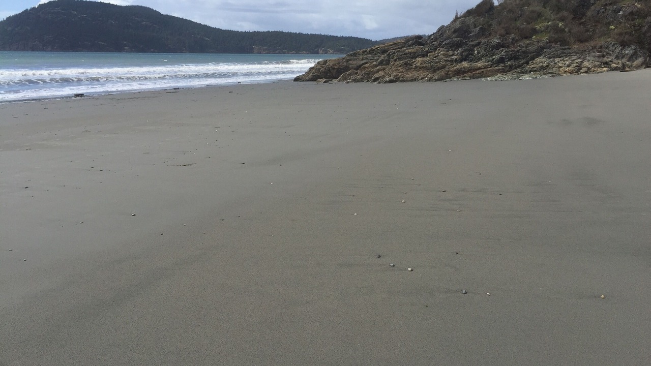 Photo of Others in Anacortes