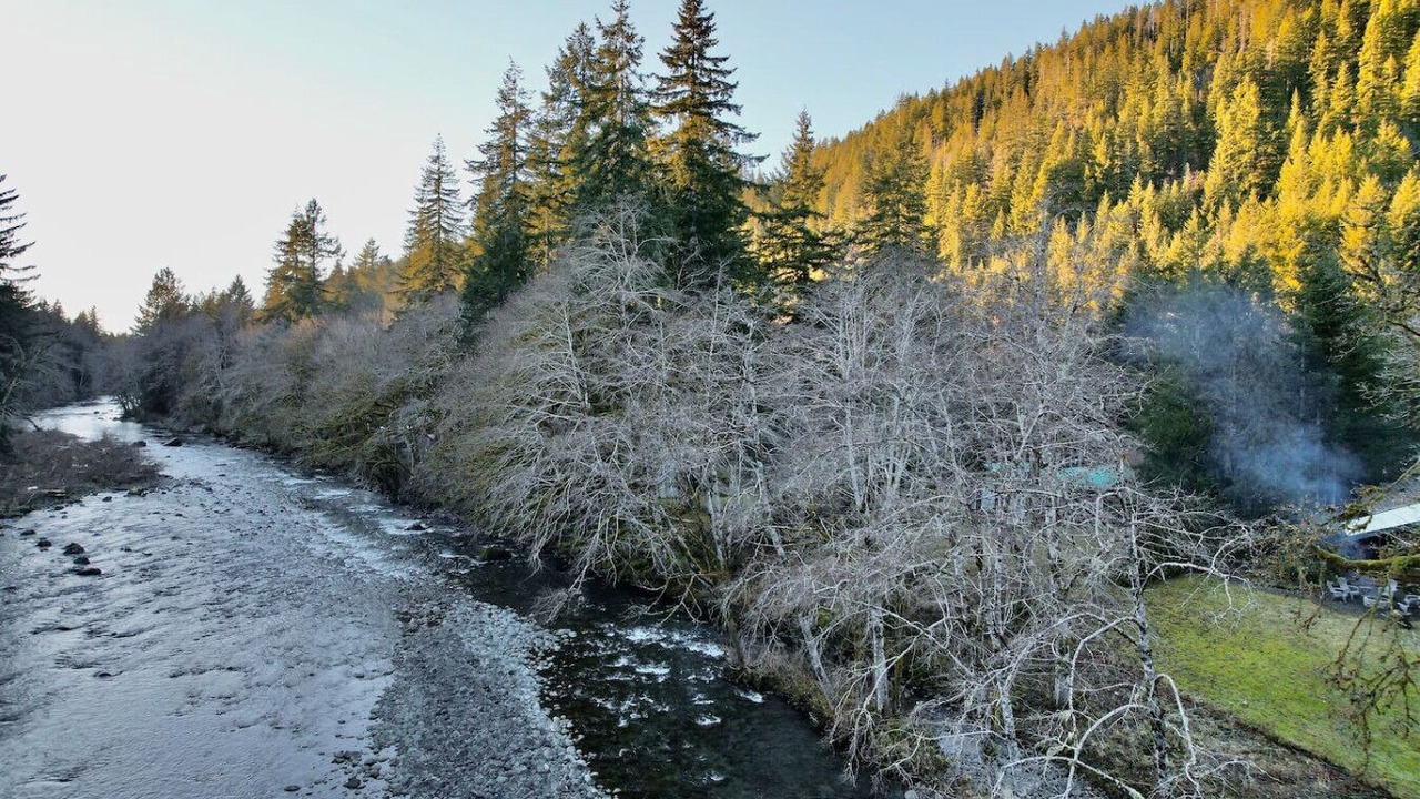 Photo of Others in Beaver