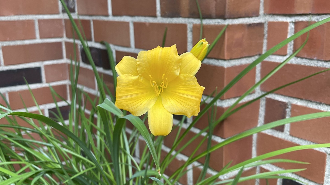 Photo of Outdoor in Lakewood