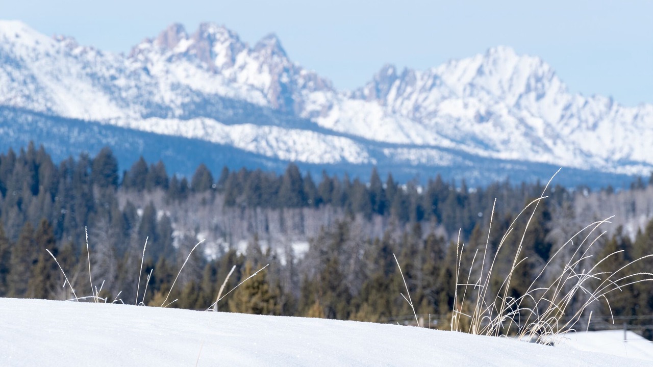 Photo of Others in Ketchum