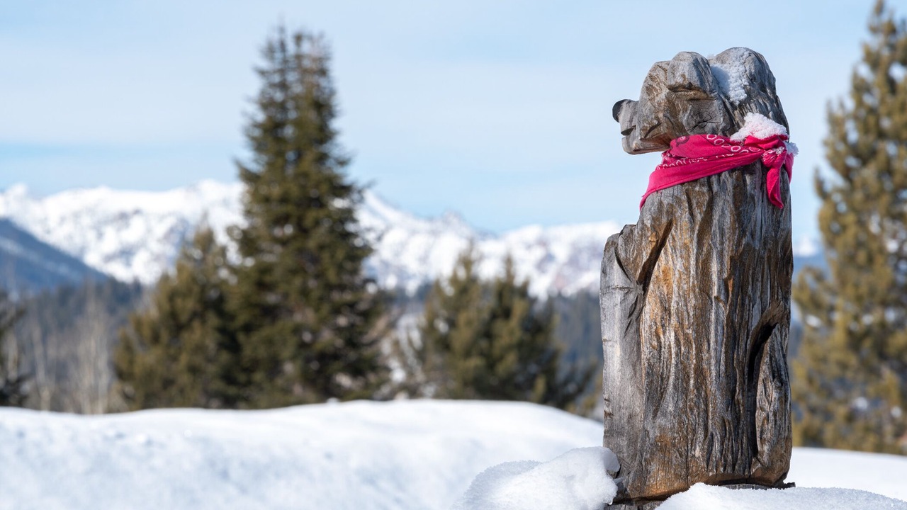 Photo of Others in Ketchum