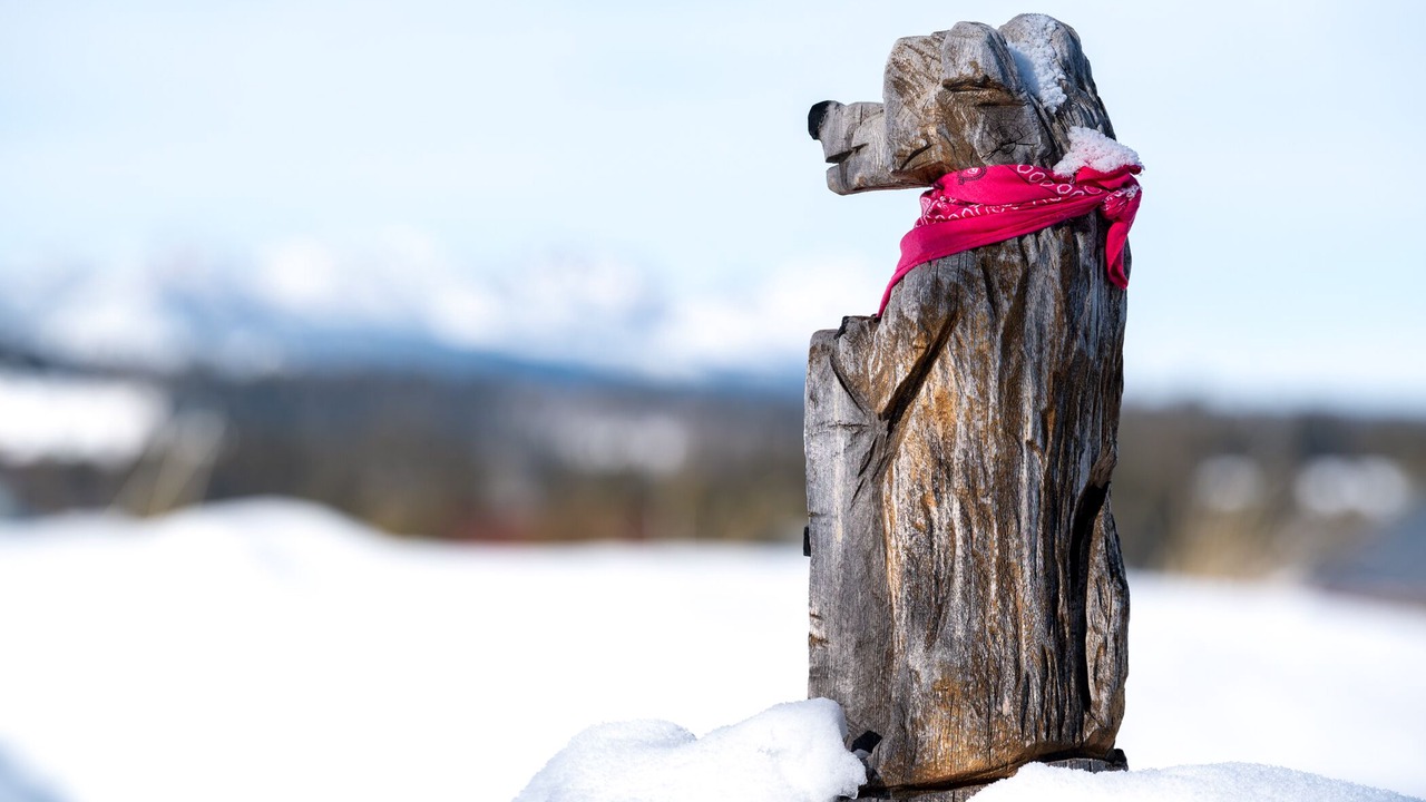 Photo of Others in Ketchum