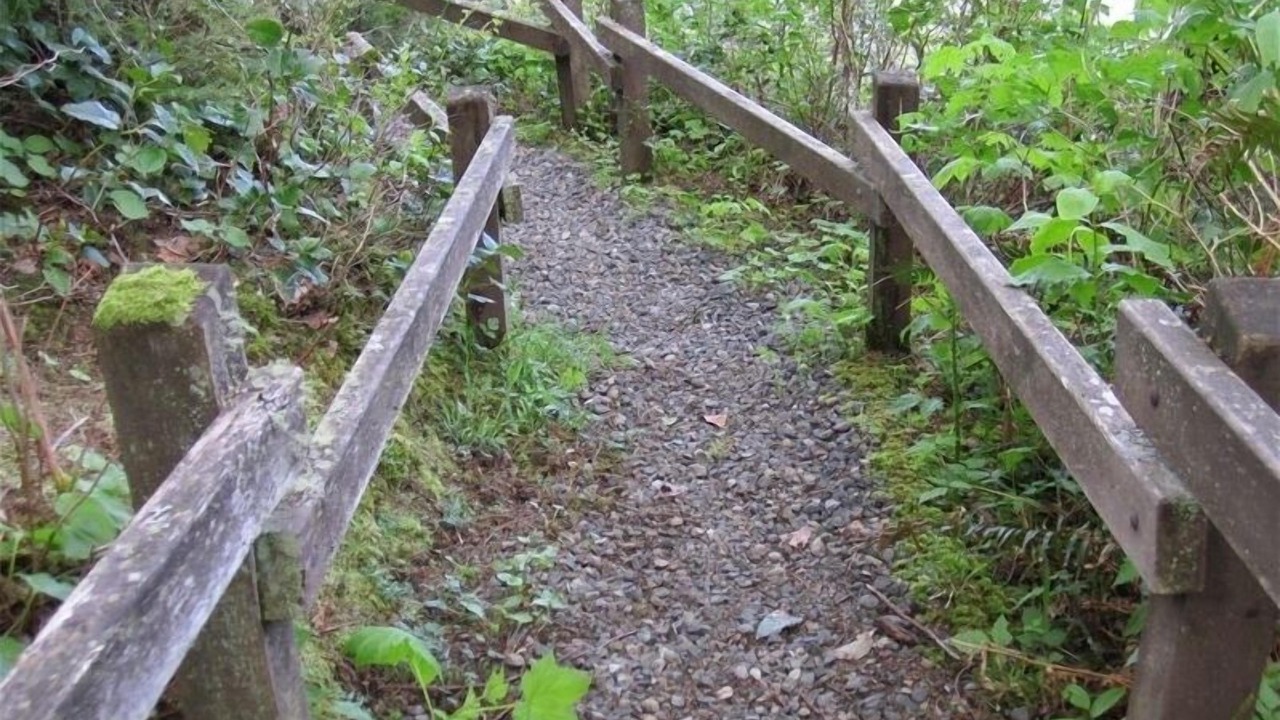 Photo of Others in Sekiu
