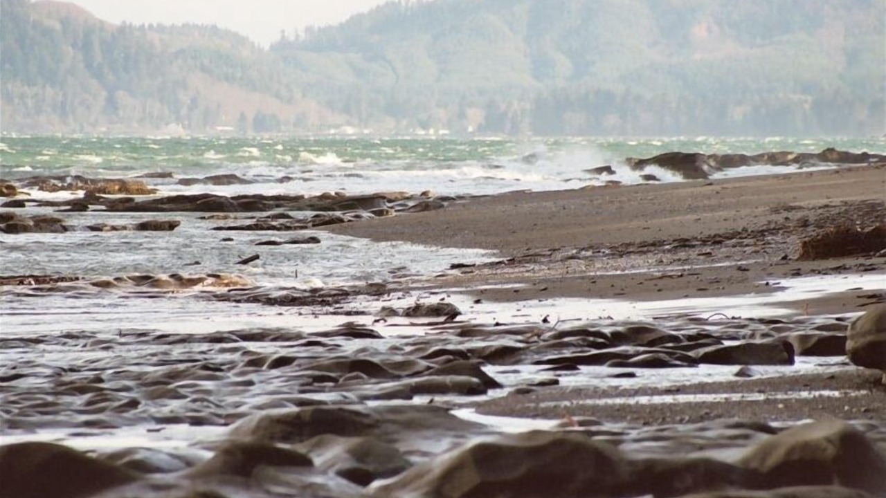Photo of Others in Sekiu