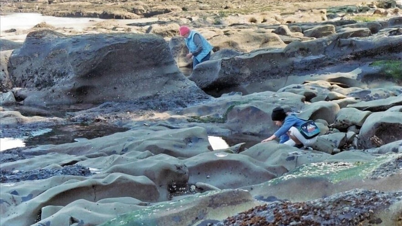 Photo of Others in Sekiu