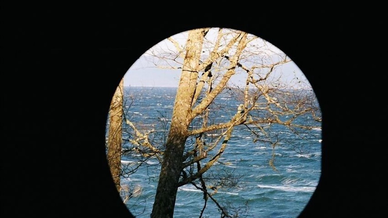 Photo of Others in Sekiu