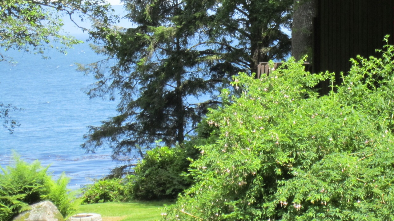Photo of Outdoor in Sekiu