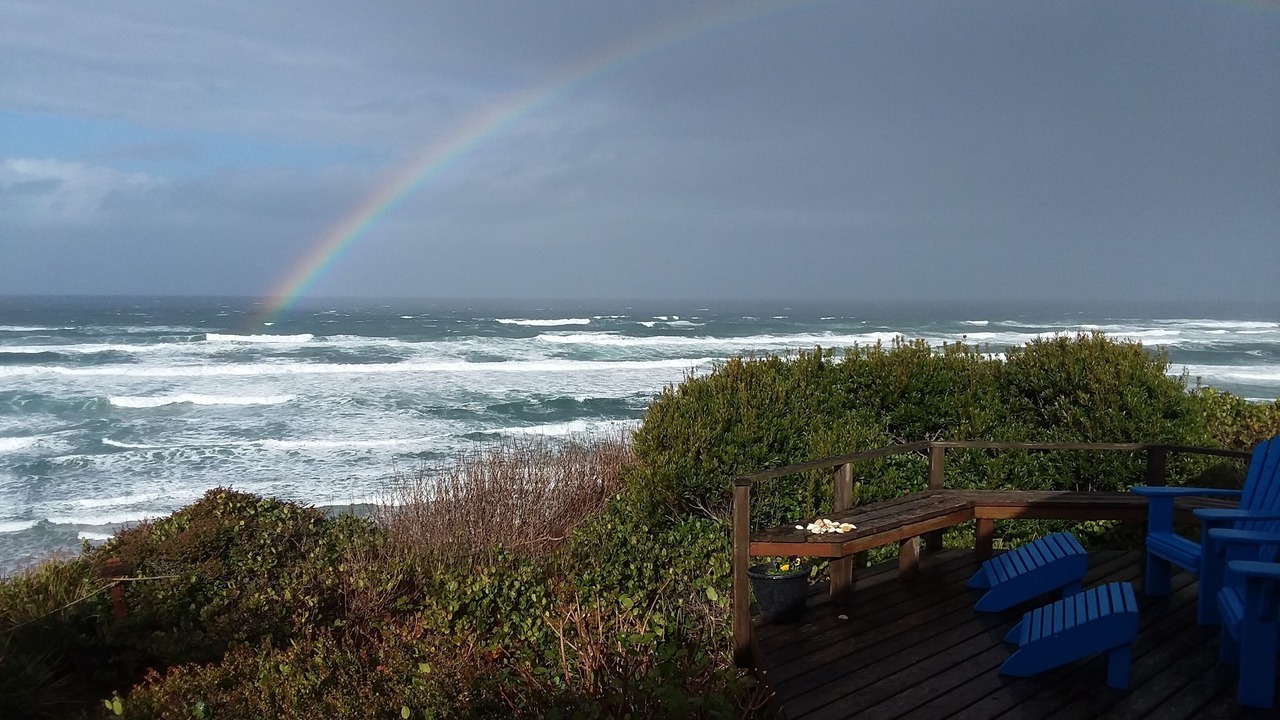 Photo of Others in Seal Rock
