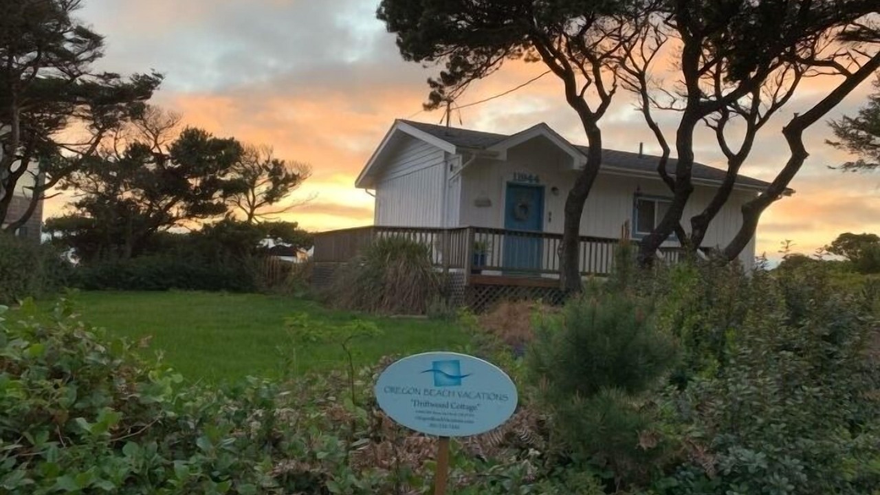 Photo of Others in Seal Rock