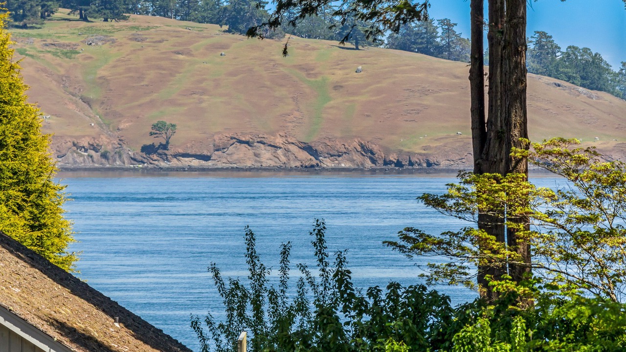Photo of Others in Roche Harbor