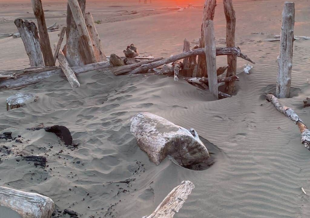 Photo of Others in Pacific Beach