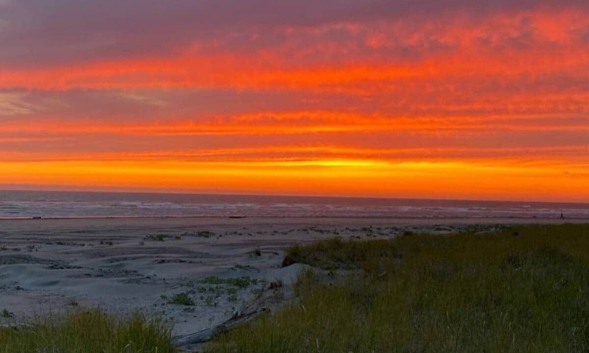 Photo of Others in Pacific Beach