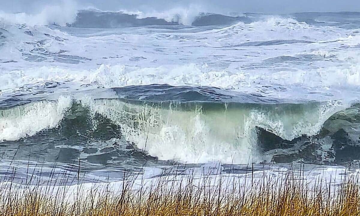 Photo of Others in Pacific Beach