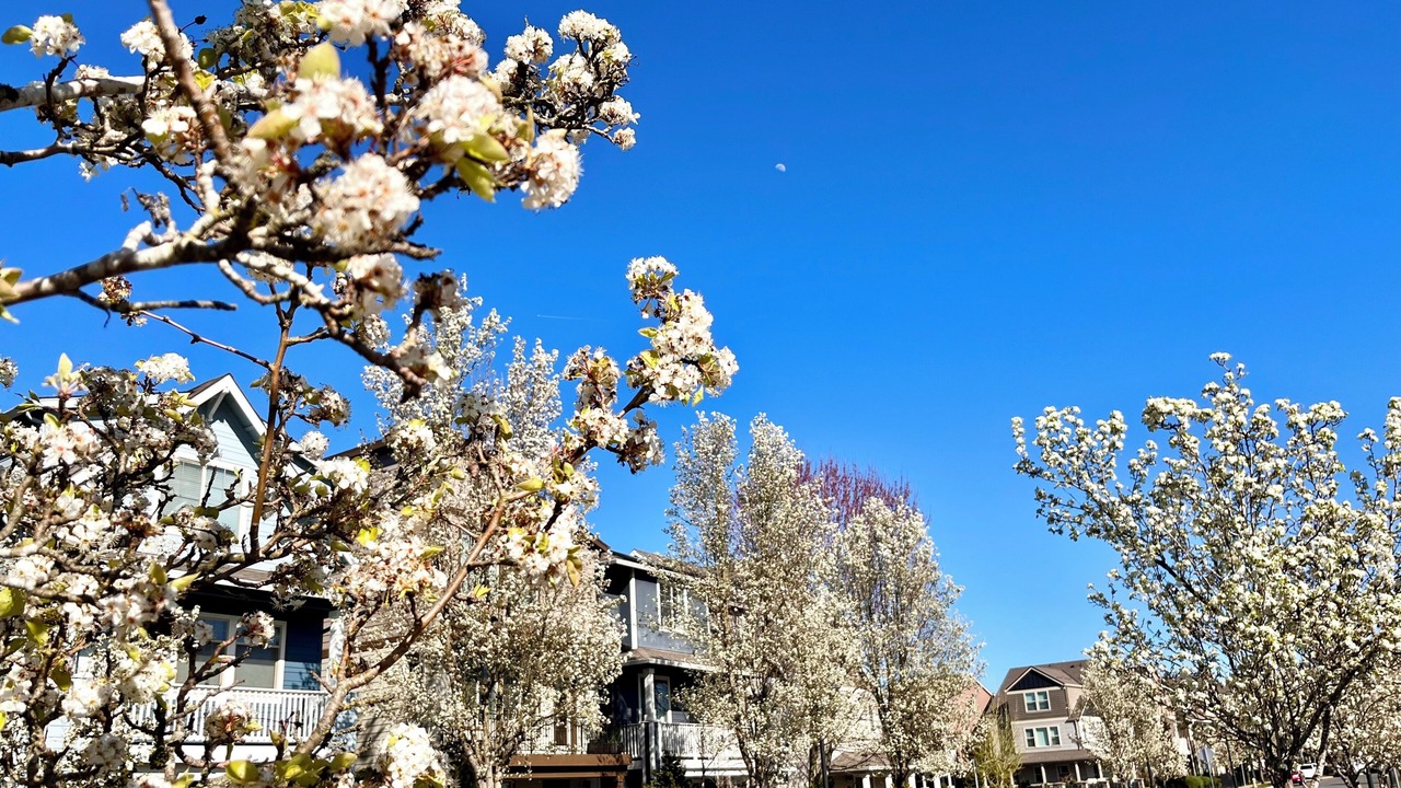 Photo of Outdoor in Cedar Hills